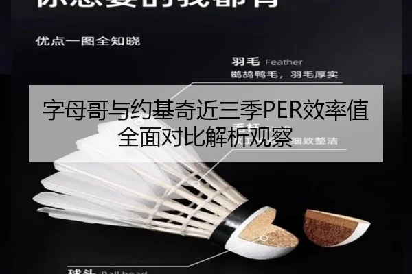 字母哥与约基奇近三季PER效率值全面对比解析观察